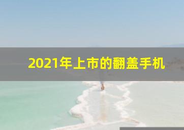 2021年上市的翻盖手机