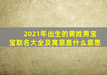 2021年出生的黄姓男宝宝取名大全及寓意是什么意思