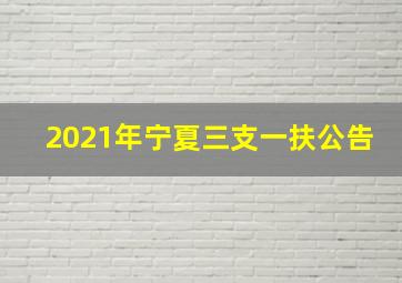 2021年宁夏三支一扶公告