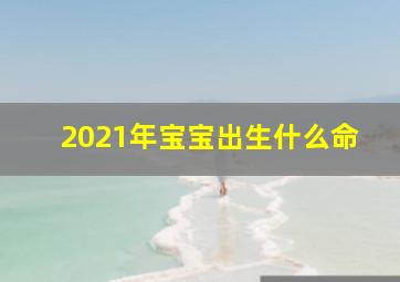 2021年宝宝出生什么命