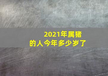 2021年属猪的人今年多少岁了