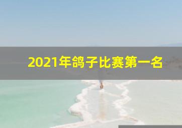 2021年鸽子比赛第一名