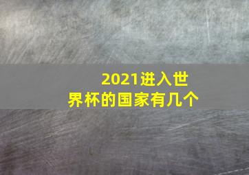 2021进入世界杯的国家有几个