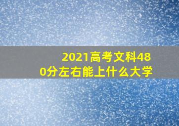 2021高考文科480分左右能上什么大学