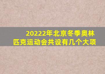 20222年北京冬季奥林匹克运动会共设有几个大项