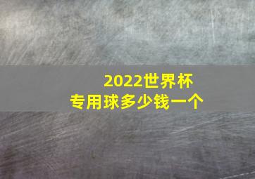 2022世界杯专用球多少钱一个