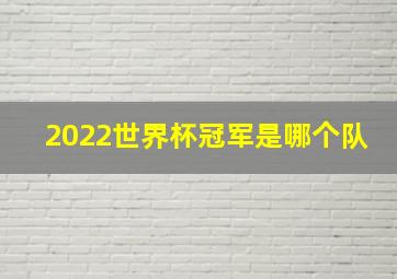 2022世界杯冠军是哪个队