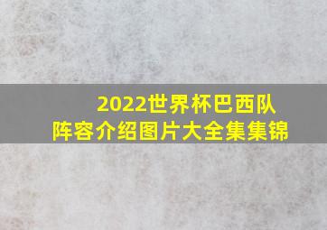 2022世界杯巴西队阵容介绍图片大全集集锦