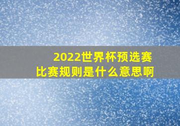 2022世界杯预选赛比赛规则是什么意思啊