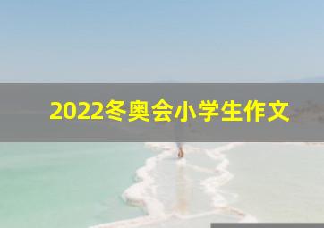 2022冬奥会小学生作文