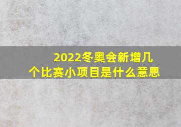 2022冬奥会新增几个比赛小项目是什么意思