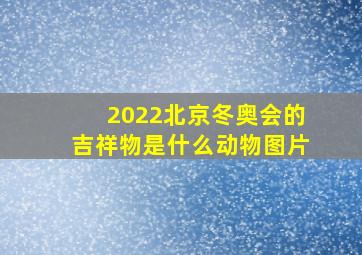 2022北京冬奥会的吉祥物是什么动物图片