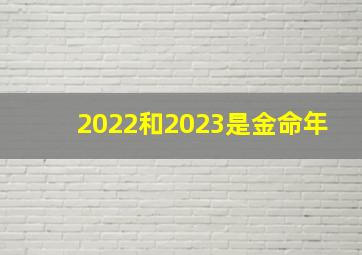 2022和2023是金命年