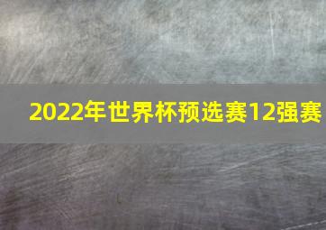 2022年世界杯预选赛12强赛