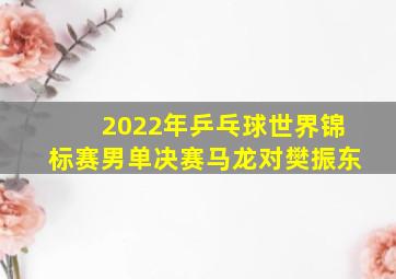 2022年乒乓球世界锦标赛男单决赛马龙对樊振东