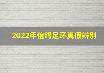 2022年信鸽足环真假辨别