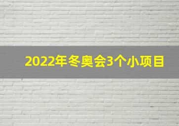 2022年冬奥会3个小项目