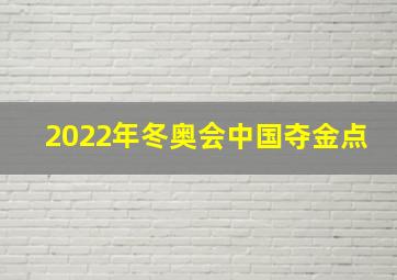 2022年冬奥会中国夺金点