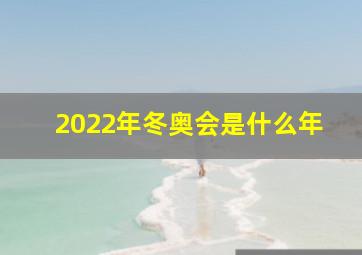 2022年冬奥会是什么年