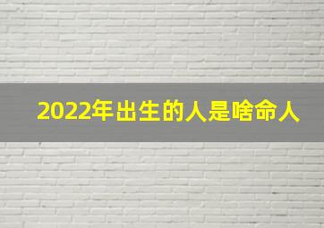 2022年出生的人是啥命人