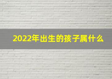 2022年出生的孩子属什么