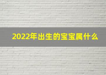 2022年出生的宝宝属什么