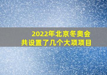 2022年北京冬奥会共设置了几个大项项目