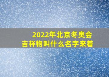 2022年北京冬奥会吉祥物叫什么名字来着