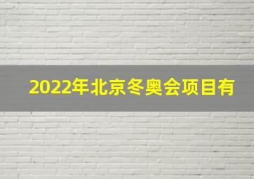 2022年北京冬奥会项目有