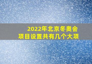 2022年北京冬奥会项目设置共有几个大项