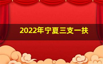 2022年宁夏三支一扶