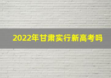 2022年甘肃实行新高考吗