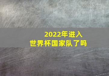 2022年进入世界杯国家队了吗