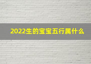 2022生的宝宝五行属什么