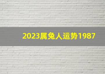 2023属兔人运势1987