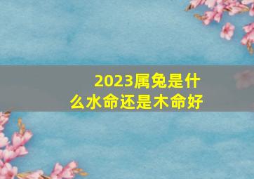 2023属兔是什么水命还是木命好