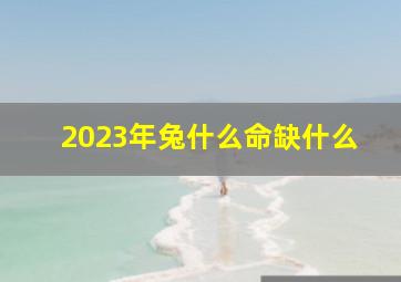 2023年兔什么命缺什么