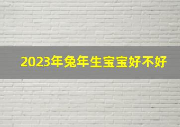 2023年兔年生宝宝好不好