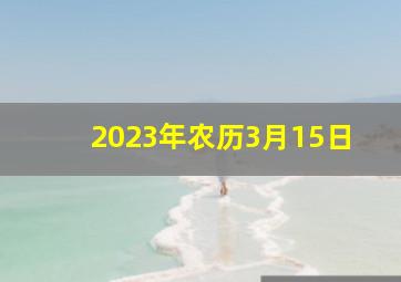 2023年农历3月15日