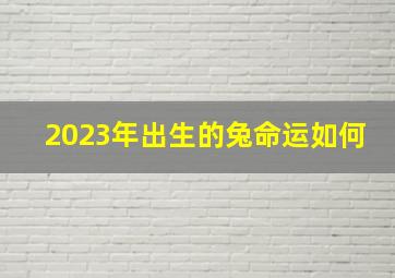 2023年出生的兔命运如何