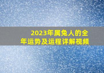 2023年属兔人的全年运势及运程详解视频