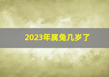 2023年属兔几岁了