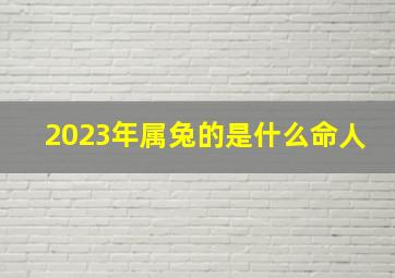 2023年属兔的是什么命人