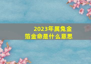 2023年属兔金箔金命是什么意思