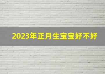 2023年正月生宝宝好不好