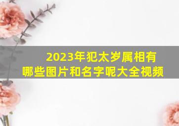 2023年犯太岁属相有哪些图片和名字呢大全视频