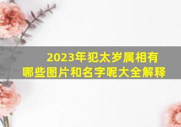 2023年犯太岁属相有哪些图片和名字呢大全解释