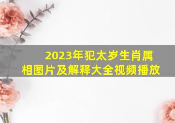 2023年犯太岁生肖属相图片及解释大全视频播放