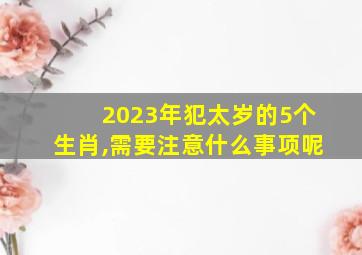 2023年犯太岁的5个生肖,需要注意什么事项呢