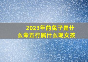 2023年的兔子是什么命五行属什么呢女孩